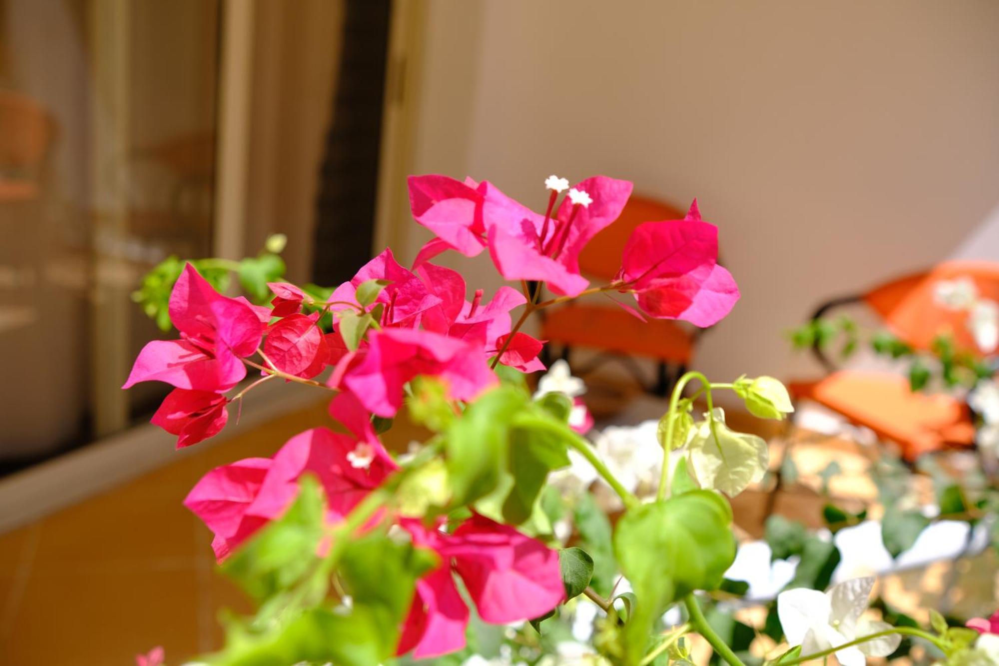 Viking Club Hotel Sharm el-Sheikh Bagian luar foto